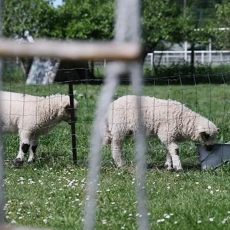 La Maison De Maria לינה וארוחת בוקר Folembray