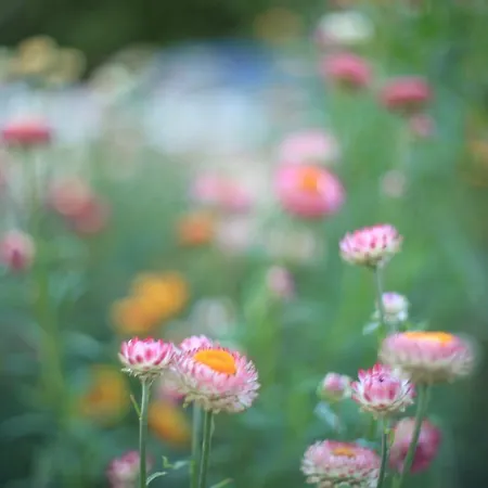 La Maison De Maria Nocleg ze śniadaniem Folembray