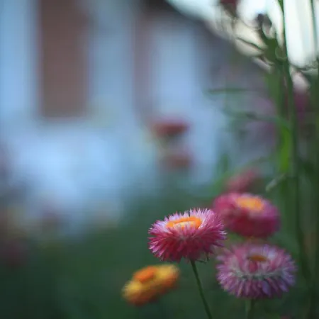 La Maison De Maria Folembray