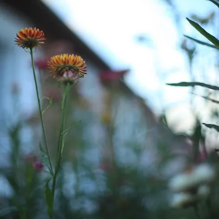 Bed & Breakfast La Maison De Maria