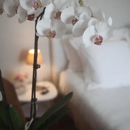 לינה וארוחת בוקר La Maison De Maria